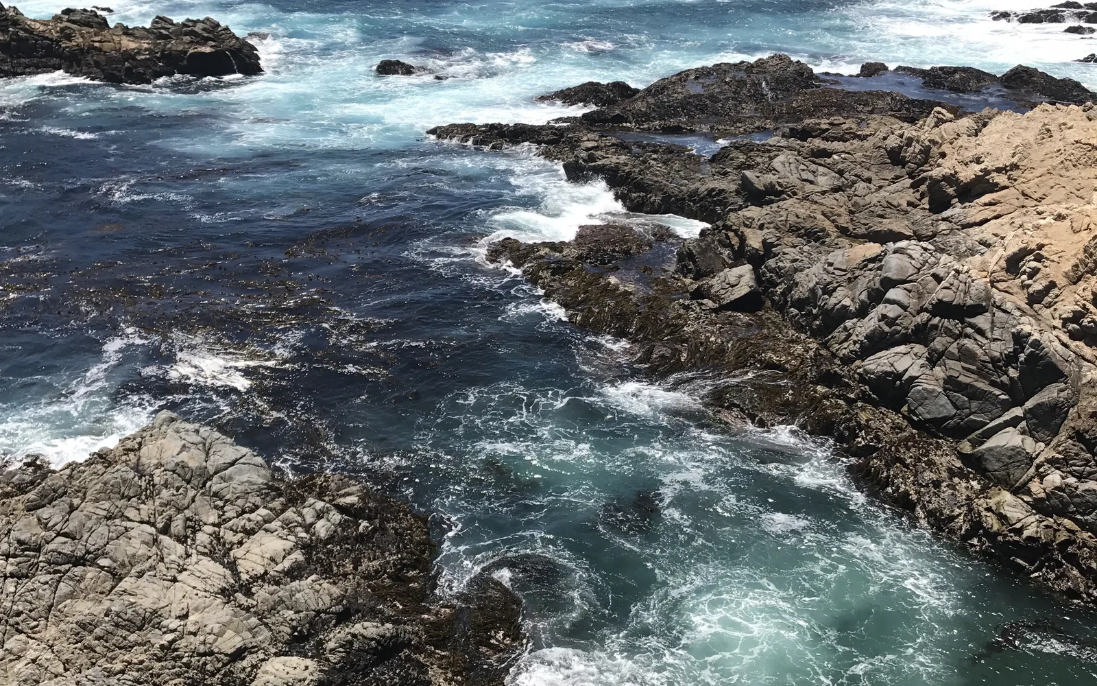 Coastal landscape showing the rugged shores of Monterey Bay